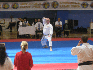 Learning and Studying Kata for competition