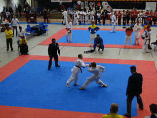 Karate England National Success