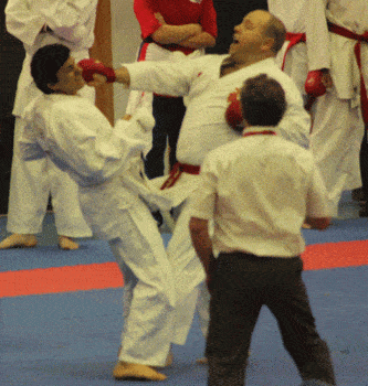 AMA International Karate Competition