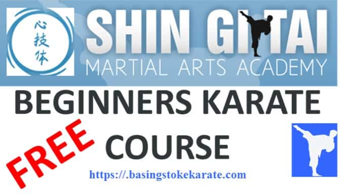 FREE Beginners online Karate course