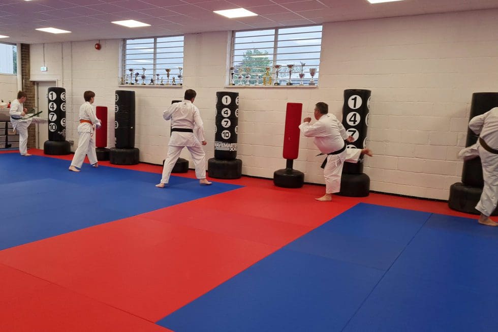Adults practising Martial Arts at Shin Gi Tai in Basingstoke