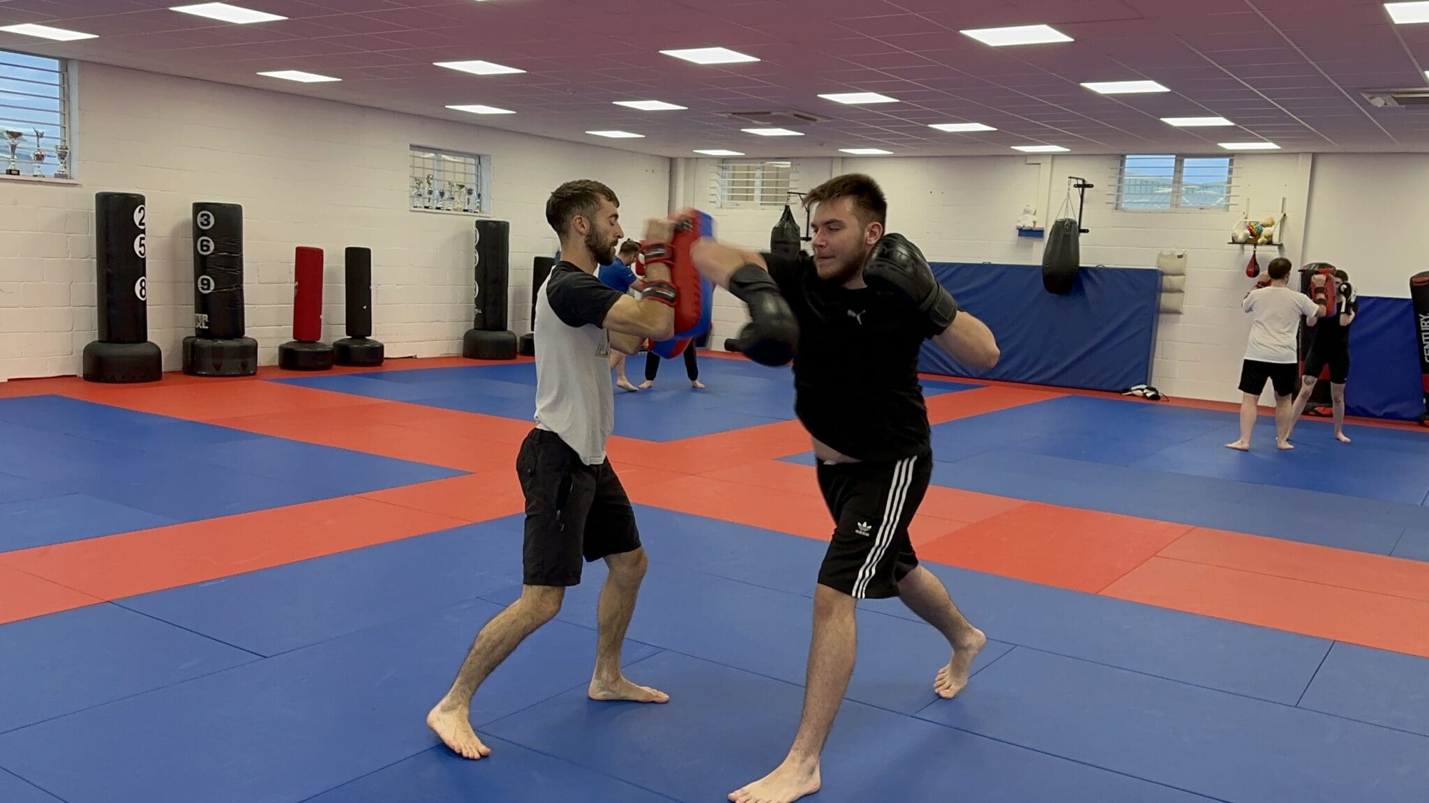 Shin Gi Tai Martial Arts Academy Winchester photo (Gym's own website)