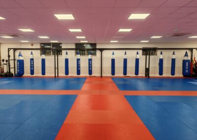 Martial Arts punchbags in Basingstoke club