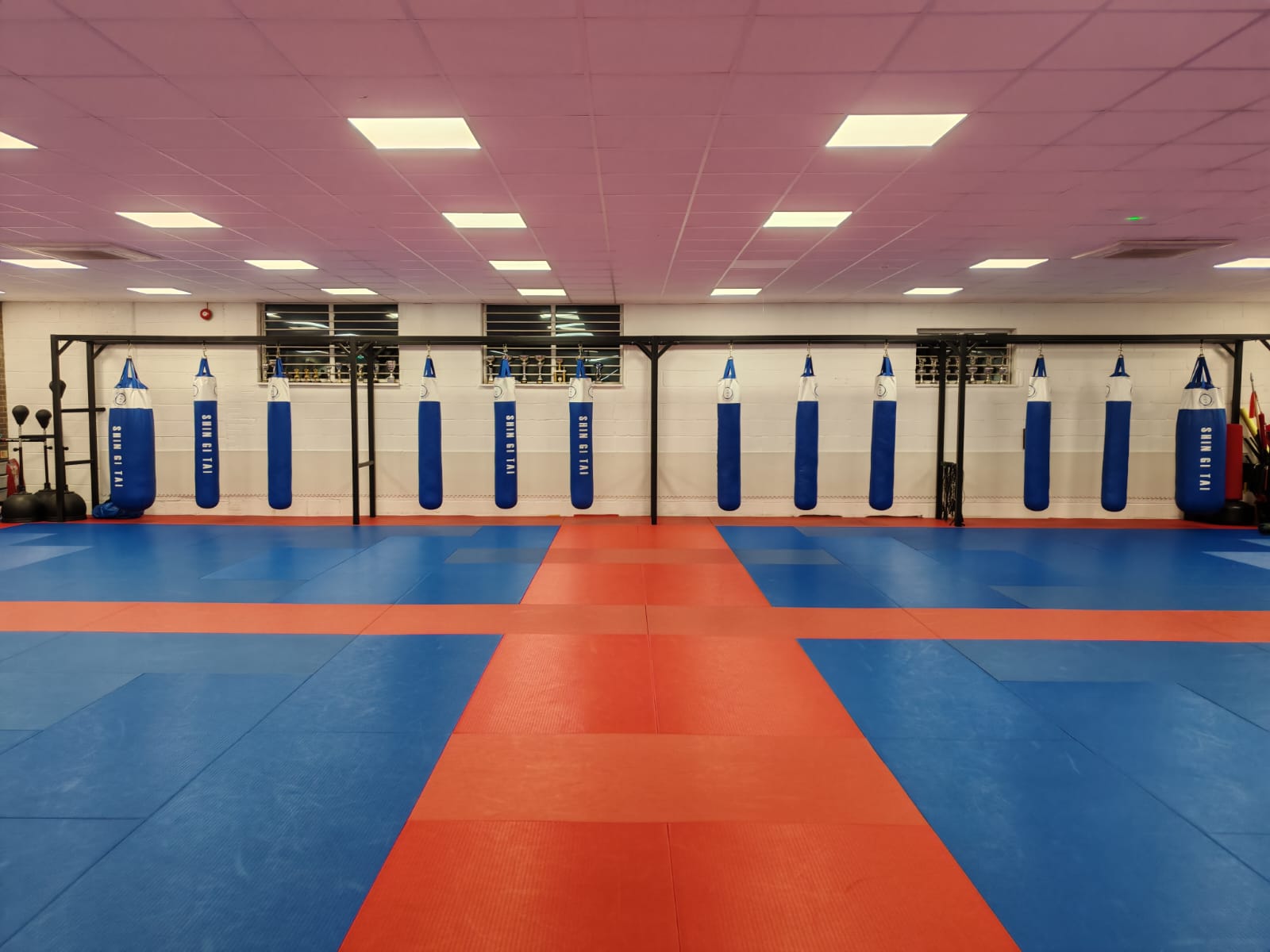 Martial Arts punchbags in Basingstoke club