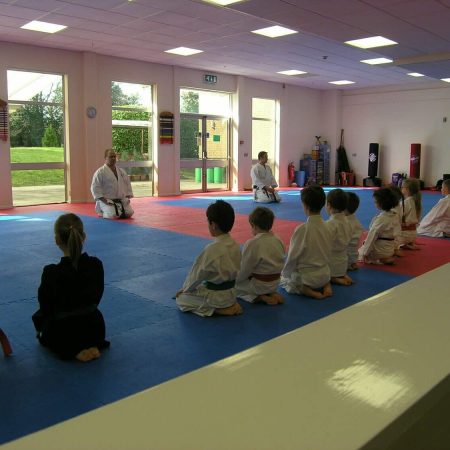 Discipline and confidence in Karate and Judo