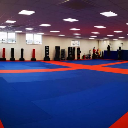 A selection of the bags and pads that we use for our Kickboxing, Karate and Kung Fu classes in Basingstoke
