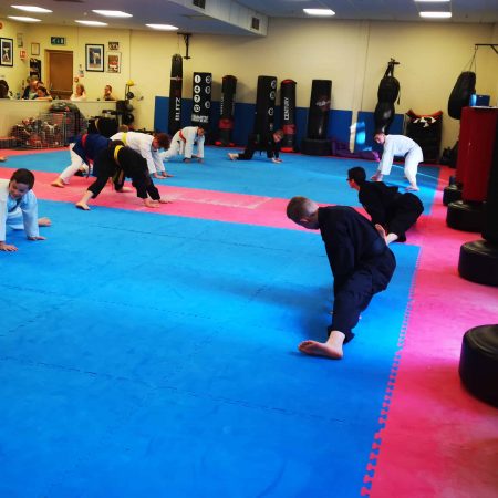 Stretching in in the Martial Arts - Strength and Conditioning